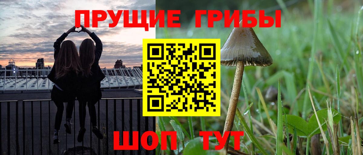 Псилоцибиновые грибы MAGIC MUSHROOMS  Вход с VPN  Сухой Лог  Галлюциногенные грибы Psilocybine cubensis 