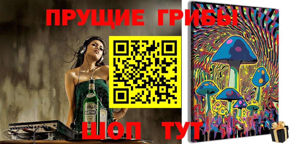 Псилоцибиновые грибы GOLDEN TEACHER Сухой Лог